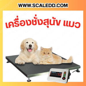 เครื่องชั่งหมา เครื่องชั่งแมว