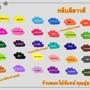 กลีบลีลาวดี สีเข้ม