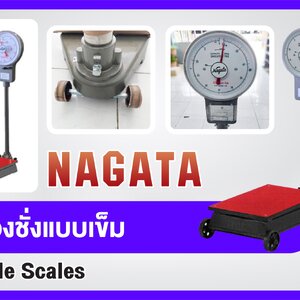 เครื่องชั่งแบบเข็ม