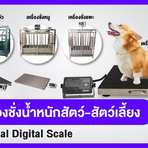 เครื่องชั่งน้ำหนักสัตว์