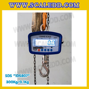เครื่องชั่งแขวน SDS