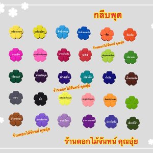 กลีบพุด สีเข้ม
