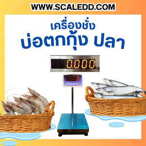 เครื่องชั่งบ่อตกกุ้ง บ่อตกปลา