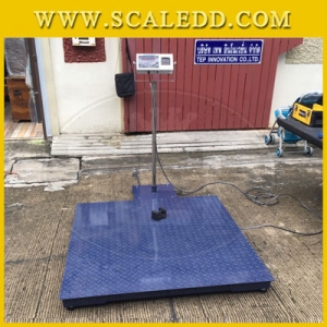 เครื่องชั่ง SDS