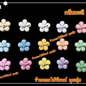 กลีบมะลิ สีอ่อน