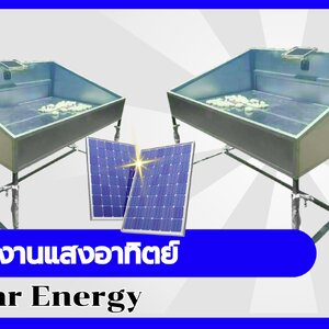 พลังงานแสงอาทิตย์/ตู้อบไฟฟ้า