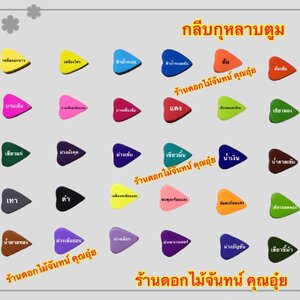 กลีบกุหลาบตูม สีเข้ม