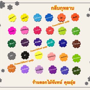กลีบกุหลาบ สีเข้ม