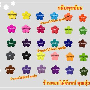 กลีบพุดซ้อน สีเข้ม