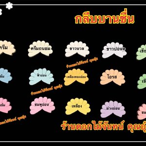 กลีบบานชื่น สีอ่อน