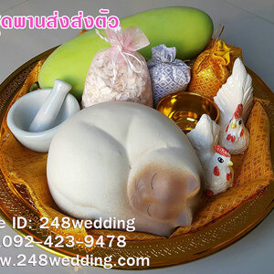 ชุดพานส่งตัว