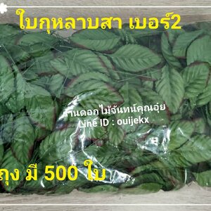 ใบกุหลาบ