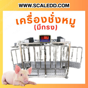 เครื่องชั่งหมู แบบมีกรง