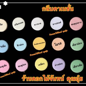 กลีบคาร์เนชั่น สีอ่อน