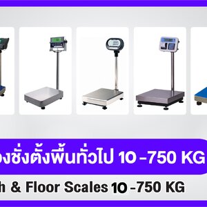 เครื่องชั่งตั้งพื้นสแตนเลส(กันน้ำ) พิกัด10-750กิโลกรัม