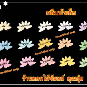 กลีบบัวเล็ก สีอ่อน