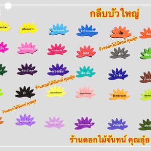 กลีบบัวใหญ่ สีเข้ม