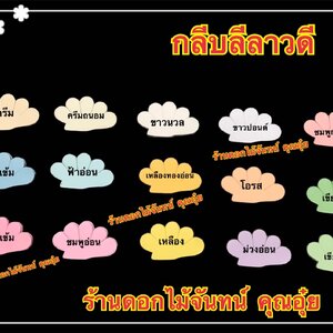 กลีบลีลาวดี สีอ่อน