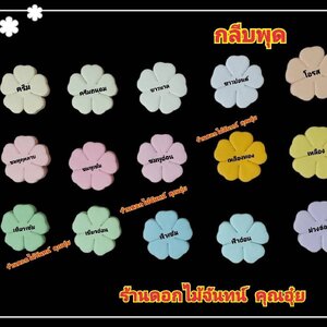 กลีบพุด สีอ่อน