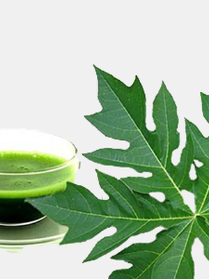 ประโยชน์ของใบมะละกอ