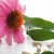 ร้านiconhealthy