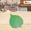 ใบโอบะ เทียม (100 ใบ)