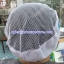 หมวกทรงแก็บด้านหลังเป็นตะข่าย มีระบาย สีขาว 044-TMV-2098