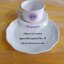 ชุดเบรคเมลามีน-ลายก้นหอย (ทรงน้ำเต้า) 017-TC2199-9