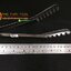 คีมคีบสปาเก็ตตี้ SPAGHETTI TONGS 005-JP-SST-8