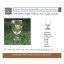 Banquet Water Goblet แก้วน้ำGobet_แก้วน้ำทรงมีก้านรับแขก (บรรจุกล่องเล็ก กล่องละ 6ใบ),แก้วน้ำรับแขกวีไอพี,แก้วก้านรับแขกโรงแรม,แก้วน้ำโรงแรมห้องประชุม