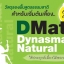 Dmat Natural