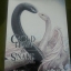 DG.Series COLD-HEART SNAKE‏ By RiRi เล่ม 3 มัดจำ 500 ค่าเช่า 100b.