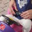 รถเข็นเด็กเล็ก Step2 Push Around Buggy GT | Pink Toddler Push Car