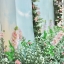 แบคดรอป งานมงคลสมรสแบบจีน