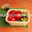 ตะกร้าหวายเทียม แบบเหลี่ยม 005-TWPBB-51