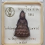 พระกริ่งน้ำท่วม 5 รอบ สมเด็จพระพุทธโฆษาจารย์(พุฒ สุวัฑฒโน)วัดสุวรรณาราม (วัดทอง) กรุงเทพฯ ปี 2545