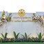 แบคดรอปงานอุปสมบท 4.01.63