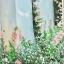 แบคดรอป งานมงคลสมรสแบบจีน