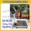 เครื่องชั่งดิจิตอลตั้งพื้น150kg ยี่ห้อ JADEVER รุ่น JIK-8CAB ขนาดแท่น 50x60cm. เครื่องชั่งน้ำหนัก150กิโล เครื่องชั่งดิจิตอลชั่งน้ำหนัก150kg ตาชั่ง150kg ตาชั่งดิจิตอล150kg เครื่องชั่งดิจิตอล150kg พิกัดน้ำหนัก 150kg ค่าละเอียด 10g