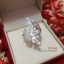 แหวนเงินแท้ ใบมะกอกเก๋ๆ ประดับเพชร cz สีขาว ใบมะกอกใส่เพื่อเสริมโชคในเรื่องการงาน ชัยชนะ