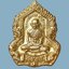 เหรียญ หลวงพ่อรวย ปาสาทิโก วัดตะโก จ.พระนครศรีอยุธยา รุ่นอายุมั่น ขวัญยืน ปี 2555 เนื้อทองทิพย์