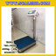 เครื่องชั่งน้ำหนัก600กิโลกรัม เครื่องชั่งน้ำหนัก600kg เครื่องชั่งดิจิตอล600kg เครื่องชั่งตั้งพื้น ตาชั่ง600kg ความละเอียด 50g ขนาดแท่นชั่ง80*80cm ยี่ห้อ TBOSS รุ่น TWI-700W (เครื่องชั่งผ่านตรวจรับรองจากสำนักชั่งตวงวัด)