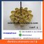 รหัสพิมพ์ขนมดอกจอก เบอร์ 1 รหัส 016-DJT-10.5
