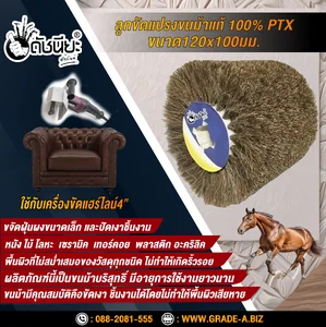 ลูกขัดแปรงขนม้าแท้ Horse hair Drawing Wheel ลูกขัดแปรงขนม้าแท้ Horse hair Drawing Wheel