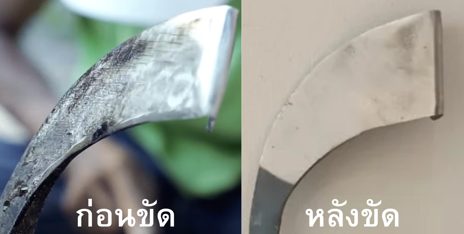 ลับมีดกรีดยางให้คมกริบ เงาวับ ด้วยไขปลาวาฬ ลับมีดกรีดยางให้คมกริบ เงาวับ ด้วยไขปลาวาฬ